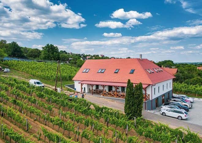 Hotel Somlo Kolonics Kuria à Somlovasarhely Extérieur photo